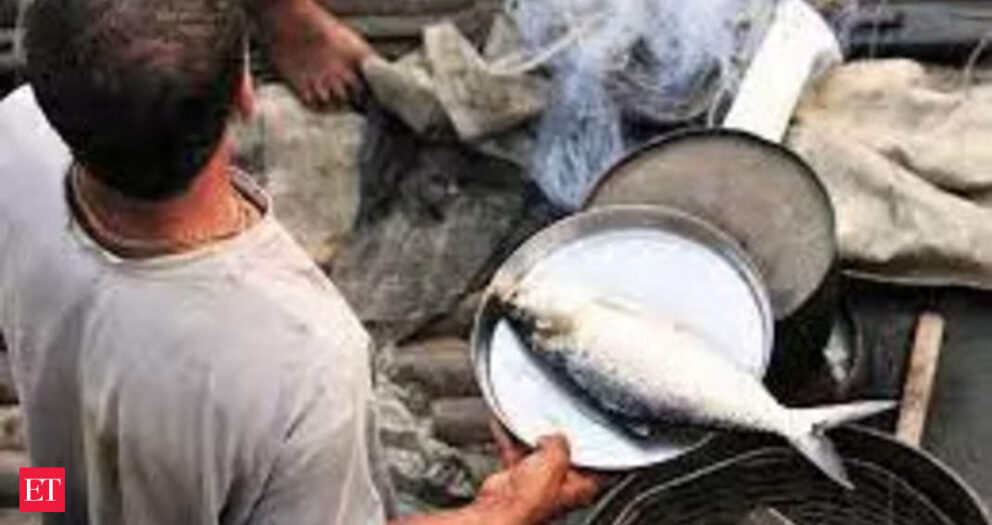 Fish import in Himachal partially banned