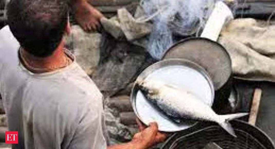 Fish import in Himachal partially banned