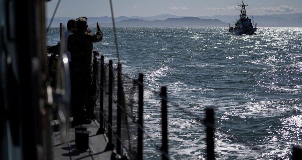Mexico’s vaquita porpoise on the brink as illegal fishing bites