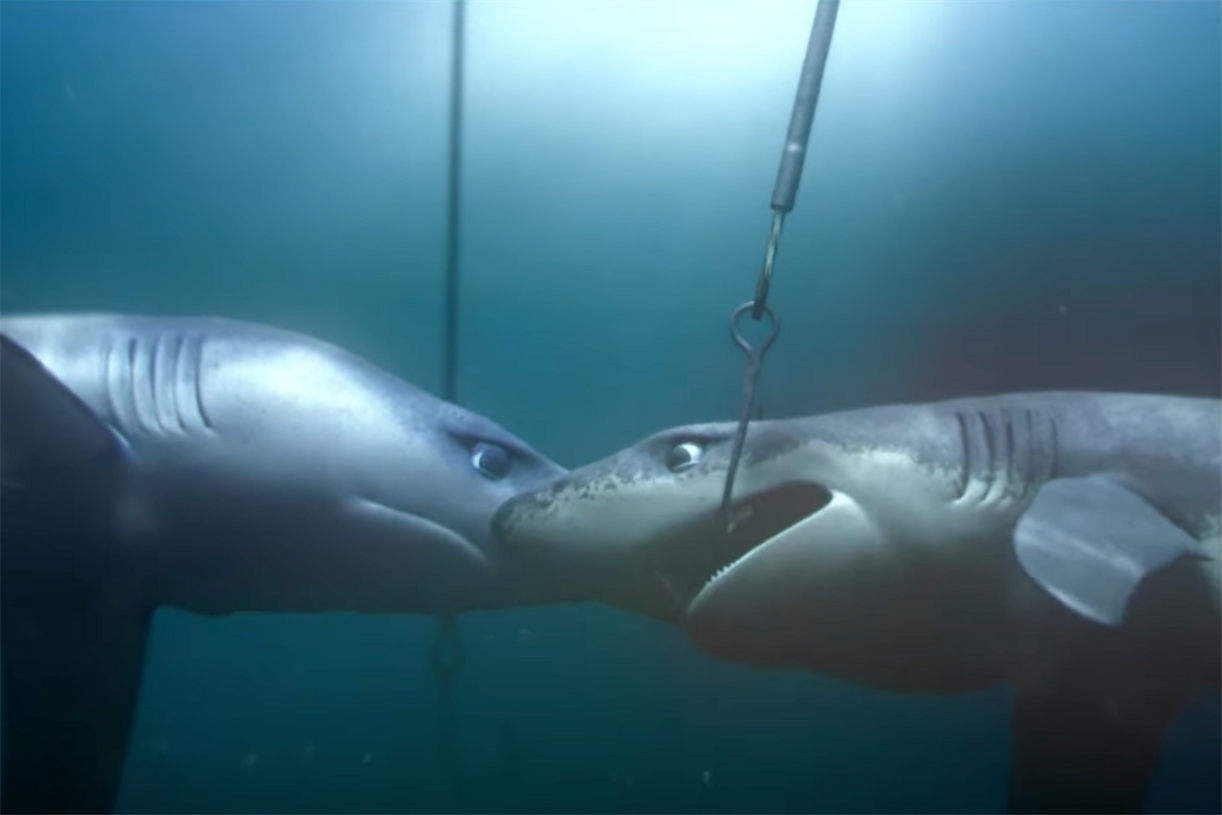 Greenpeace gets deep about shark deaths at the hands of industrial fishing