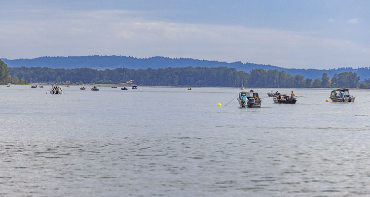 Three days of sturgeon fishing announced on portion of lower Columbia River