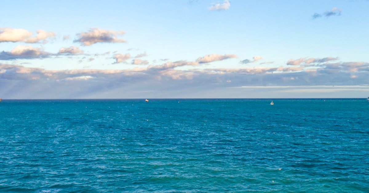 Brazilian Fisherman Survives 11 Days In Floating Cooler After Boat Sinks In Atlantic