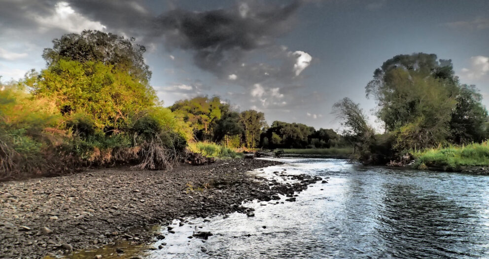 Fishing a Watershed: The Search for the Genuine