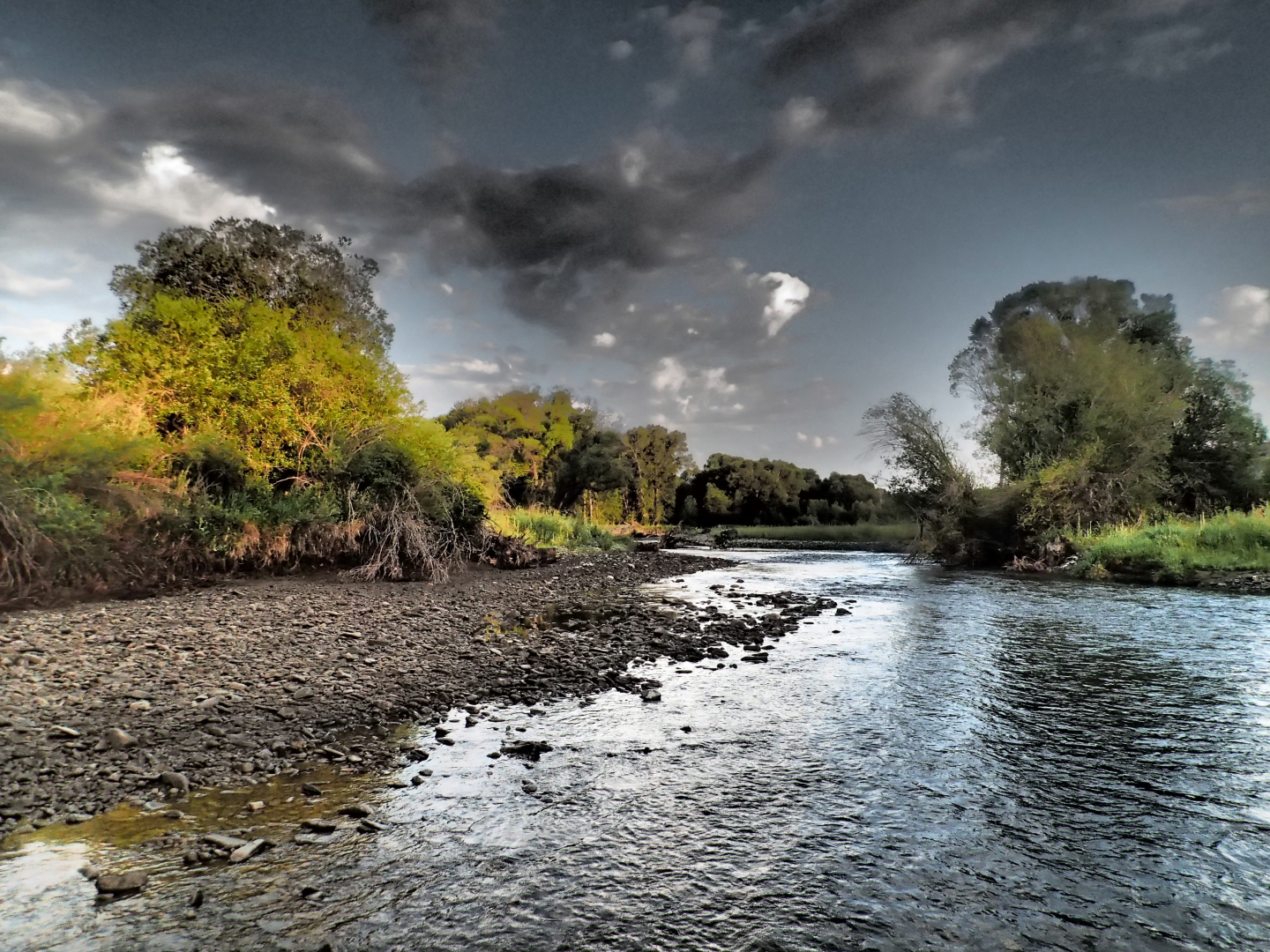 Fishing a Watershed: The Search for the Genuine