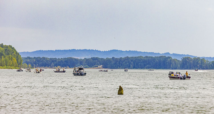 Salmon fishing resumes beginning Oct. 1 for Columbia River below Bonneville Dam