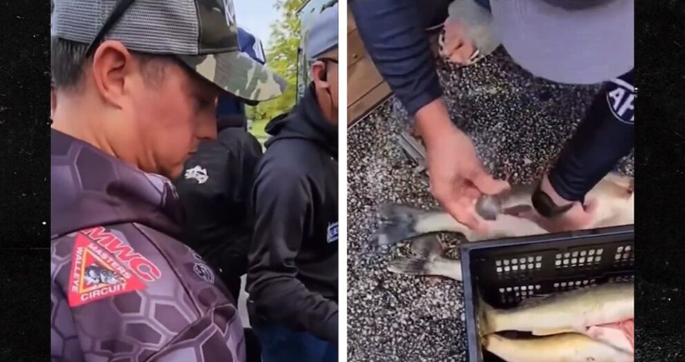 Pro Fishing Repeat Champs Accused of Stuffing Walleye with Weights