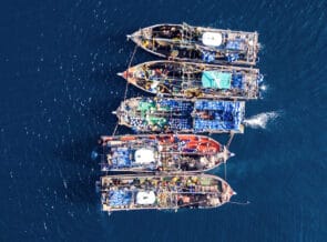 Petition Demands The Canadian Government Stops Overfishing