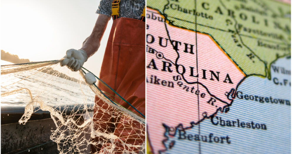 Fishing Nets Lost Every Year Enough To Cover South Carolina: ‘Staggering’