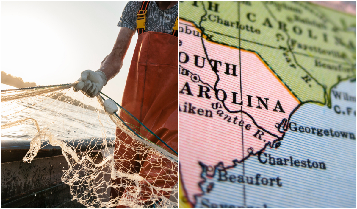 Fishing Nets Lost Every Year Enough To Cover South Carolina: ‘Staggering’