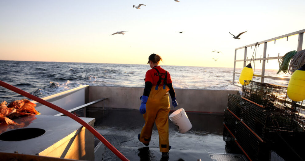 Maine lawmakers snap over lobstermen’s impact on whales