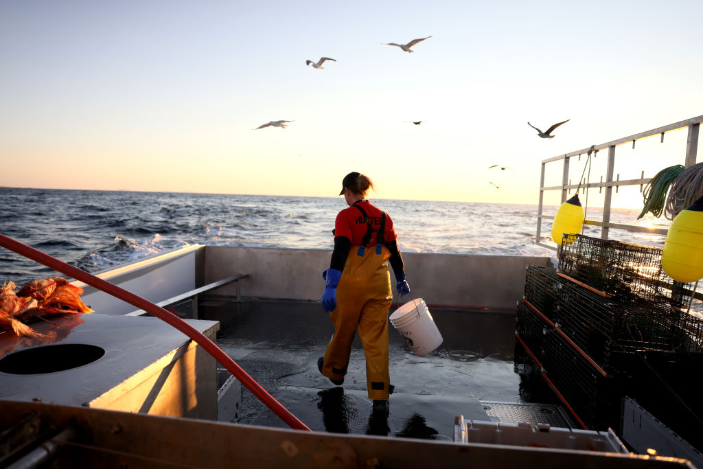 Maine lawmakers snap over lobstermen’s impact on whales
