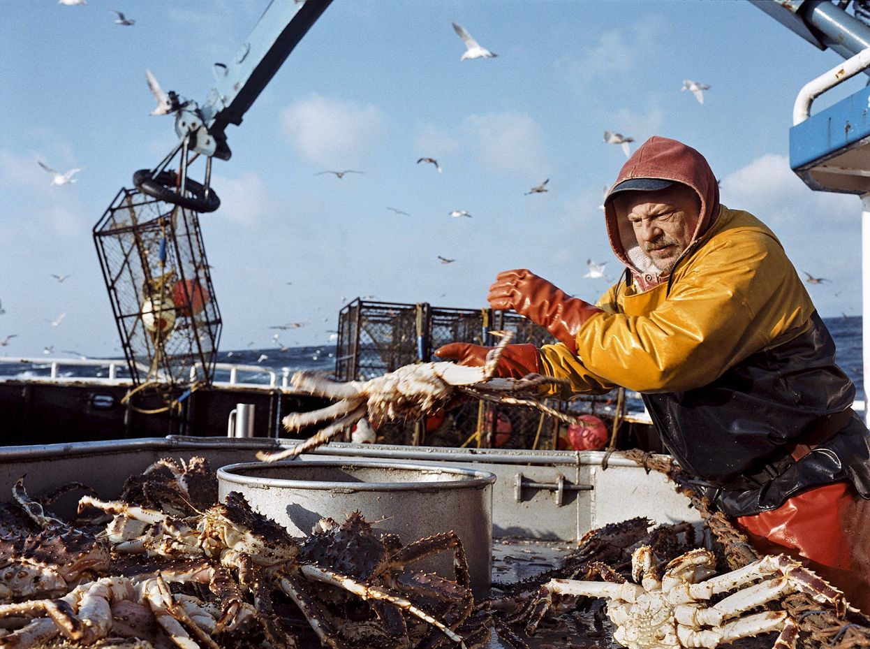 Disappearance of one billion snow crabs leads to first ever cancelation of fishing season