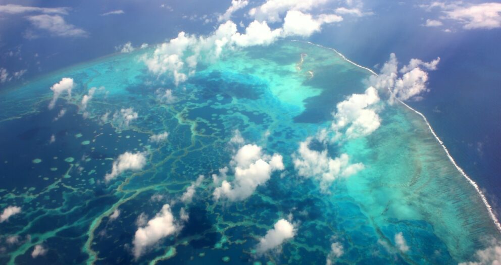 The world’s biggest marine reserve seems to be doing its job