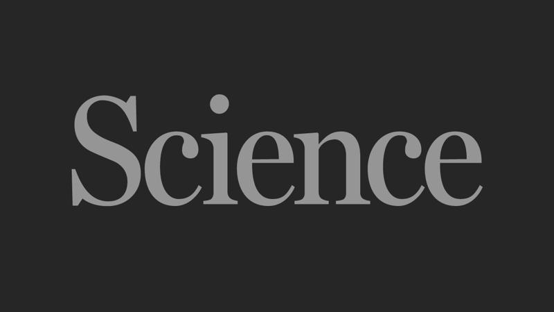 Overfishing and warming put Persian Gulf at risk | Science