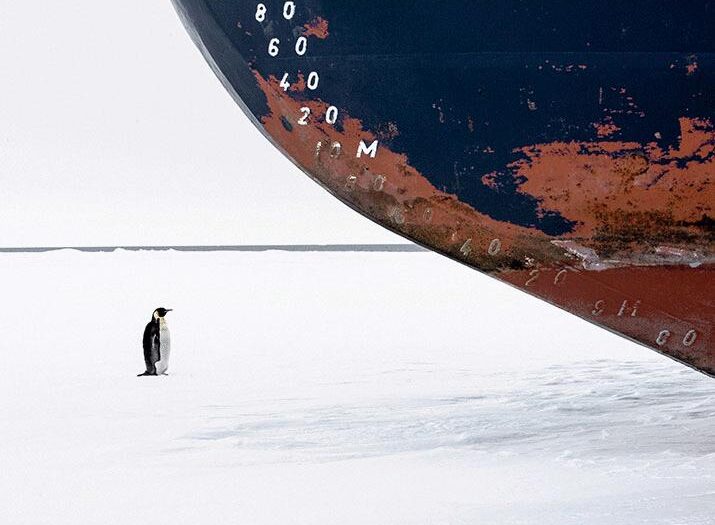 Protect global values of the Southern Ocean ecosystem | Science