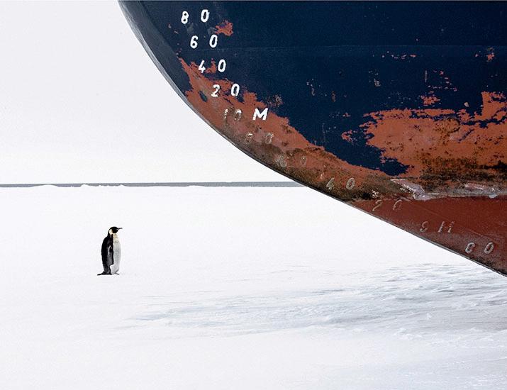 Protect global values of the Southern Ocean ecosystem | Science