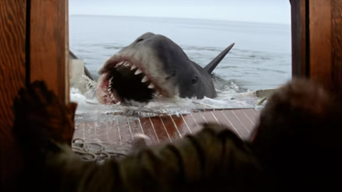 Steven Spielberg Regrets Jaws Playing A Role In The “Decimation” Of Shark Populations