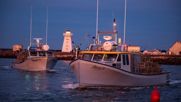 Looking to get into lobster fishing? You’ll need deep pockets