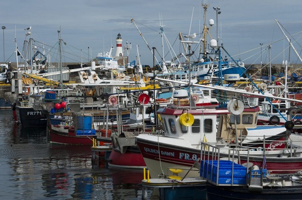 Only 19 fishing vessels cleared to fish under new IUU fishing measures – Hawa Koomson