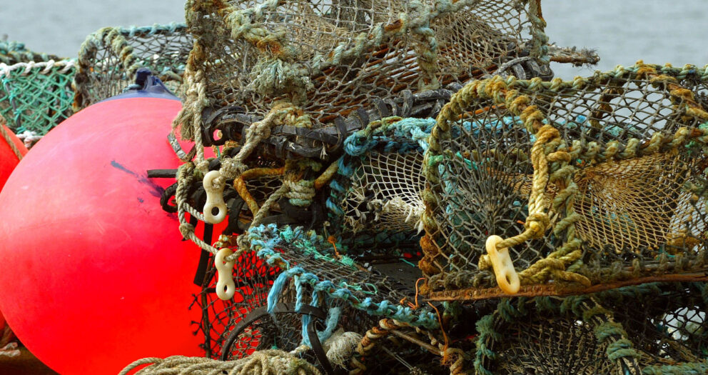 Lobsters vs. Right Whales: The Quest to Make Fishing Sustainable