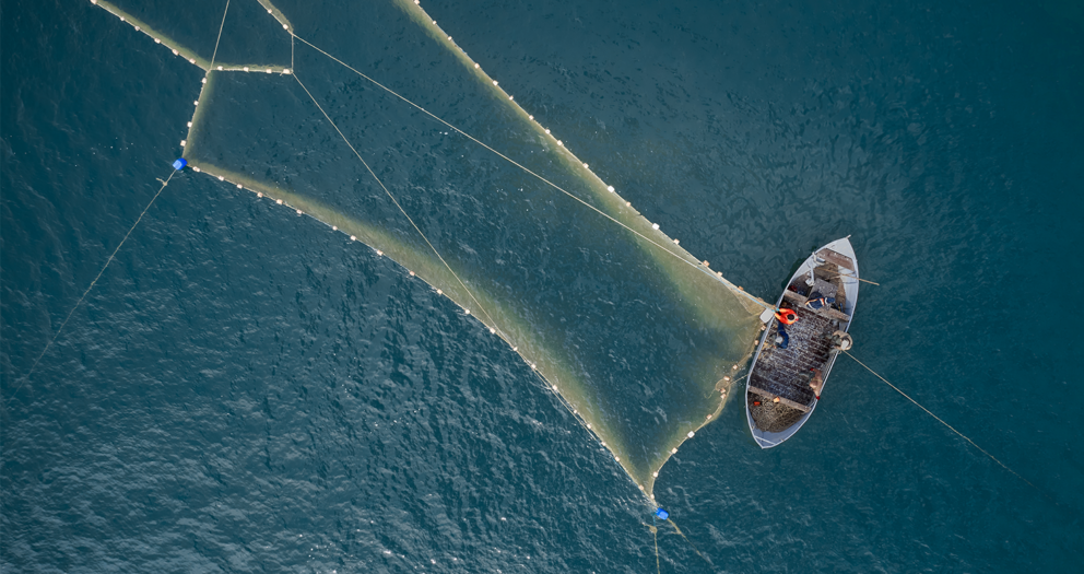 When fishing boats go dark at sea, they’re often committing crimes — we mapped them