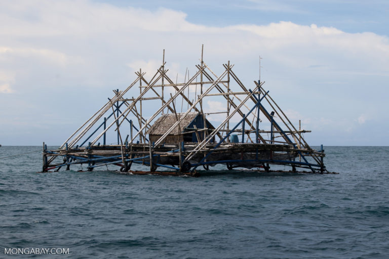 Mongabay Explains: What’s the difference between artisanal and industrial fishing?