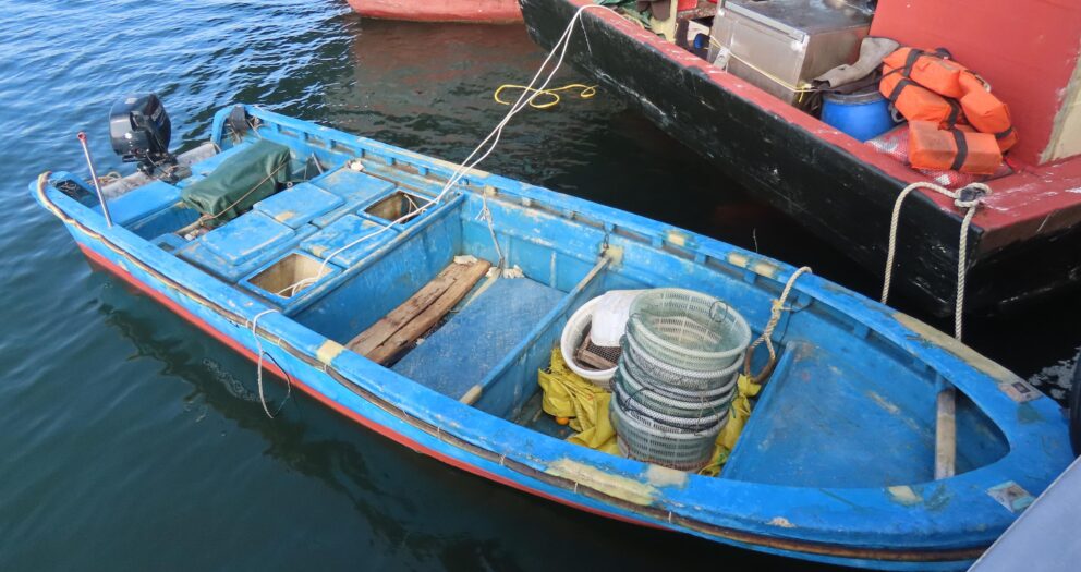 AFCD charges Mainland fishermen suspected of illegal collection of marine life in marine park (with photo)