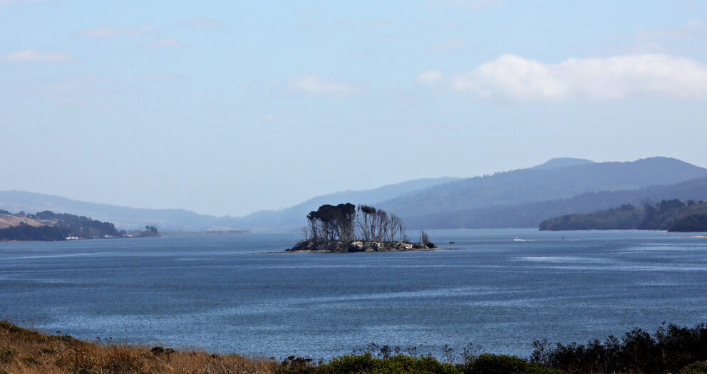 39-year-old kayaker who went missing on Tomales Bay found dead