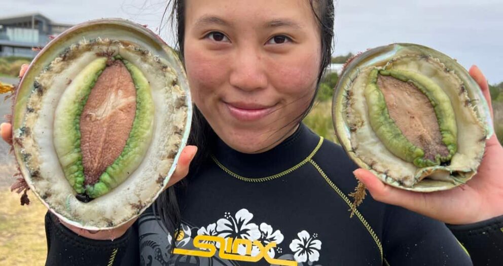 ‘Not sustainable in the long run’: One in six abalone fishers off Victoria found to be flouting rules