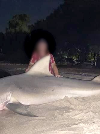 Fatal attack drives latest shark fishing ban on Swan River foreshore