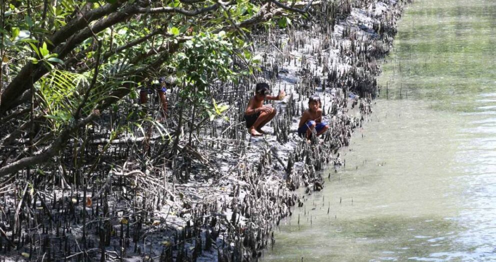 BFAR: Retain fishing ban in areas hit by oil spill