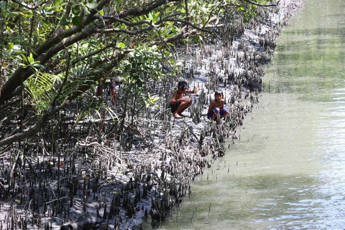 BFAR: Retain fishing ban in areas hit by oil spill
