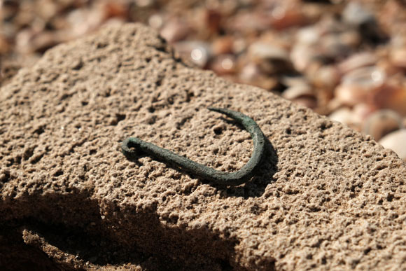 6,000-Year-Old Fish Hook Found in Israel