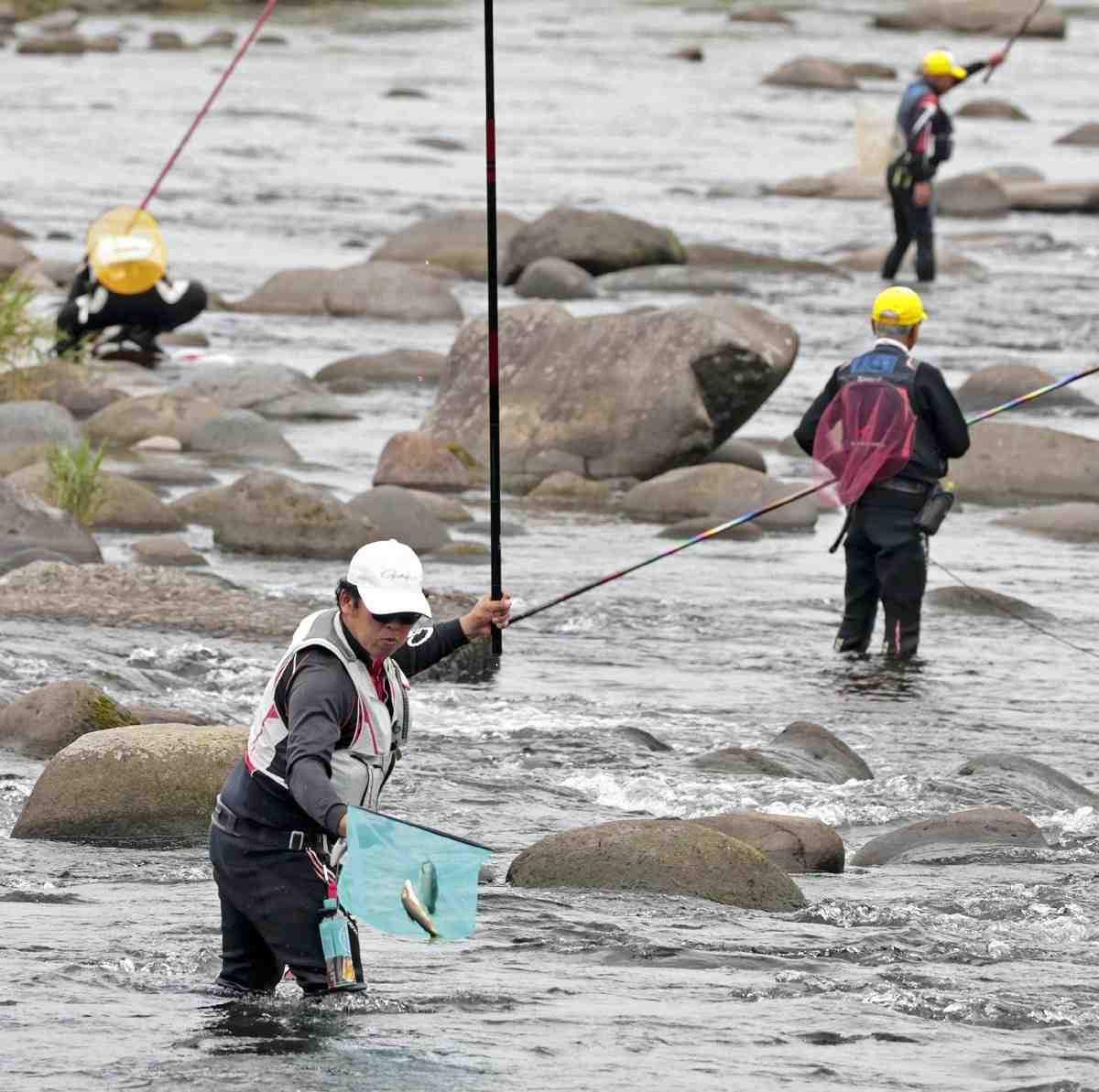 Sweetfish Fishing Season Opens in Japan’s Northern Kyushu