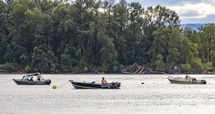 Spring Chinook salmon and steelhead fishing on the Lower Columbia River will close beginning Thursday