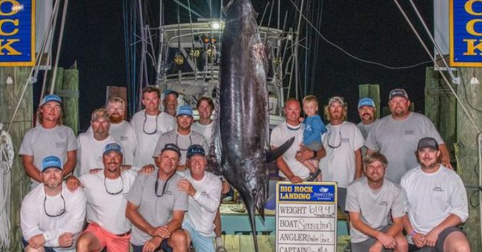 How a shark bite cost these anglers $3.5M