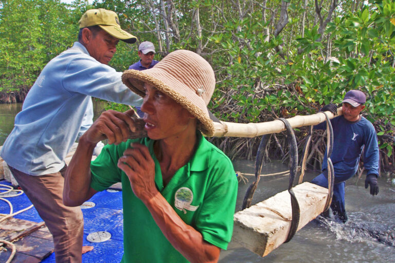 ‘Mud, muck and death’: Cambodia’s plan to obstruct trawlers and revive local fishing