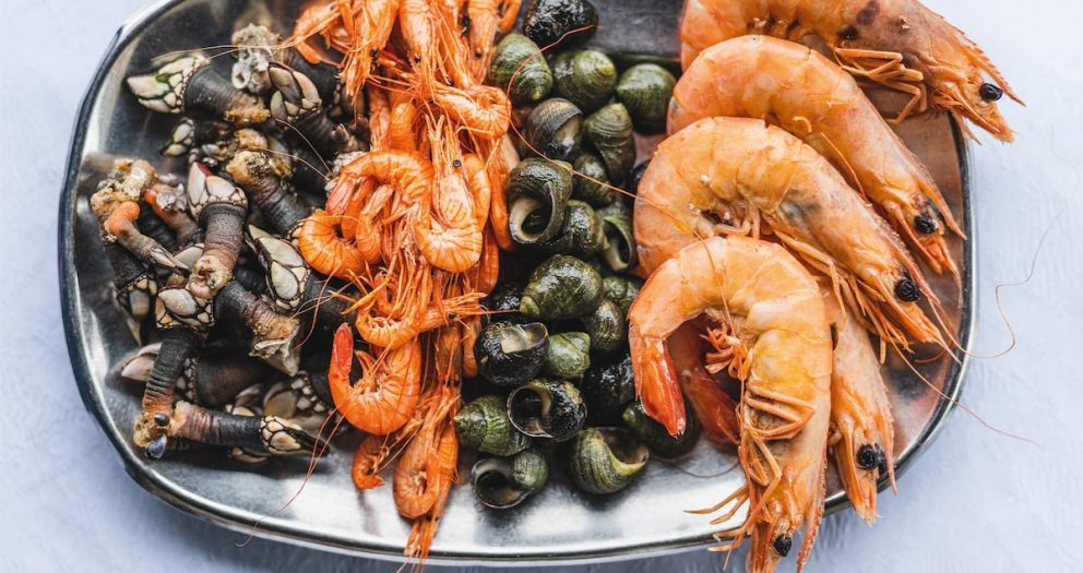 Photo story: savouring the seafood of Aveiro, Portugal