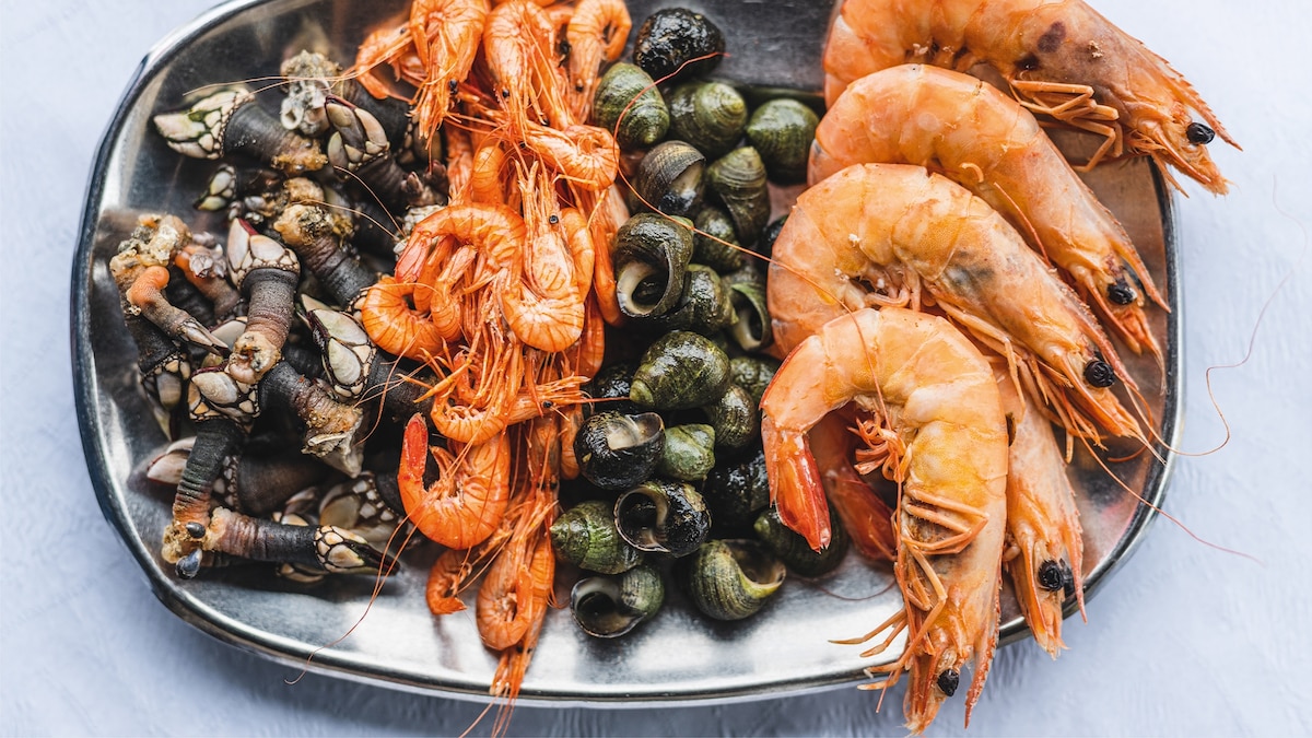 Photo story: savouring the seafood of Aveiro, Portugal