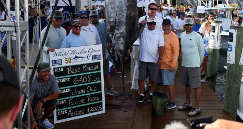 Angler earns world record $6.2 million prize for catching 640.5-pound marlin in Maryland fishing tournament