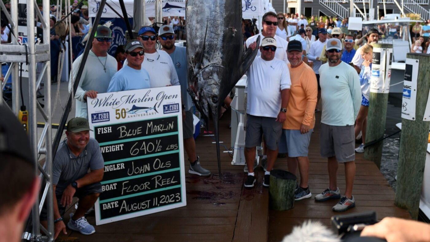 Angler earns world record $6.2 million prize for catching 640.5-pound marlin in Maryland fishing tournament