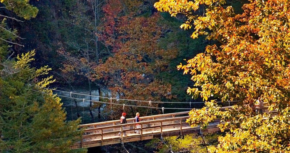 Atlanta isn’t all that Georgia has to offer. Here are 7 other worthy trips.