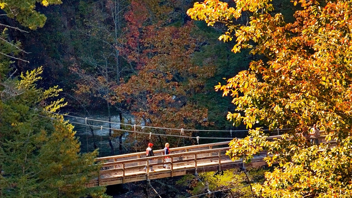 Atlanta isn’t all that Georgia has to offer. Here are 7 other worthy trips.