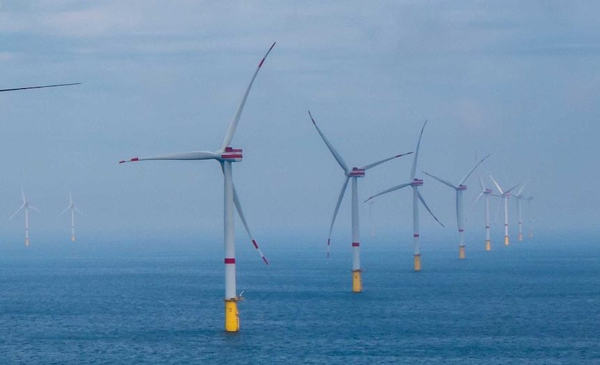 Giant offshore wind farm has ‘potential to cause real harm’, SA government says