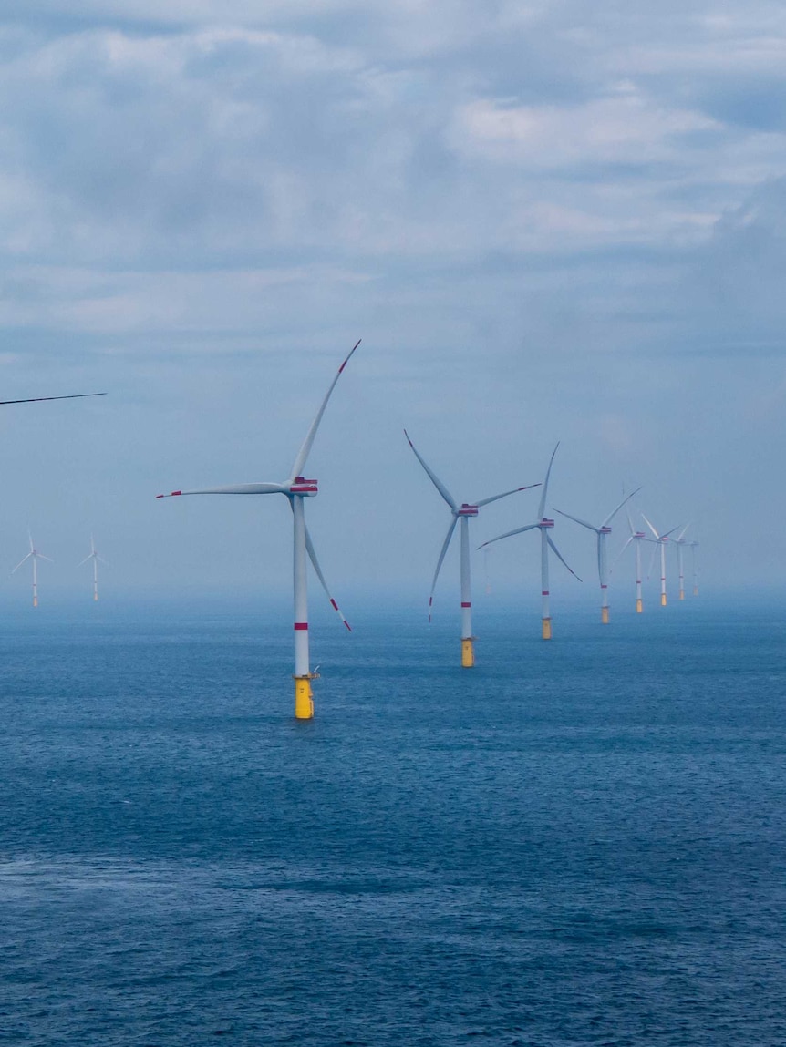 Giant offshore wind farm has ‘potential to cause real harm’, SA government says