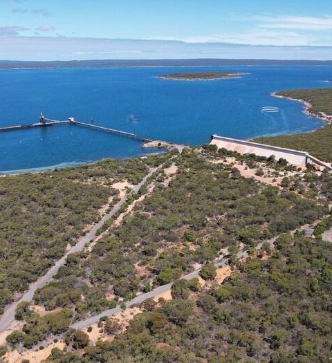 Scientists and fishing industry clash over Port Lincoln desalination plant research