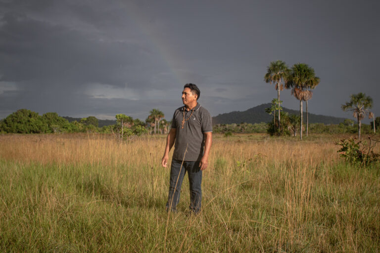 In Roraima, Indigenous communities forge sustainable solutions amid threats