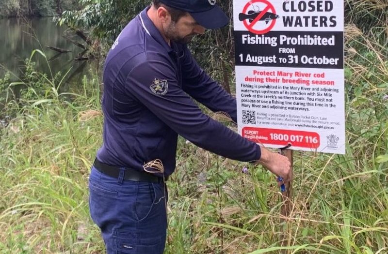 Campers cop $600 fines after ignoring fishing bans at endangered cod breeding site
