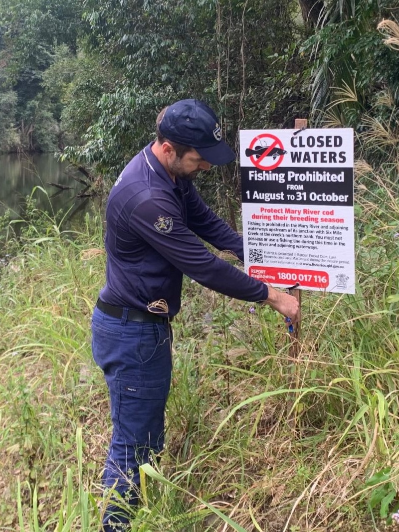 Campers cop $600 fines after ignoring fishing bans at endangered cod breeding site