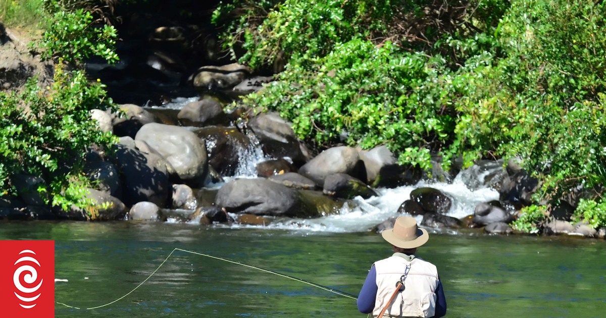 Fishing guides report bumper bookings by overseas anglers